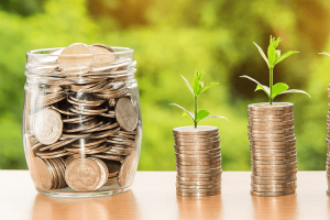 Sustaining-the-Products-Growth-and-Profitability-300x200