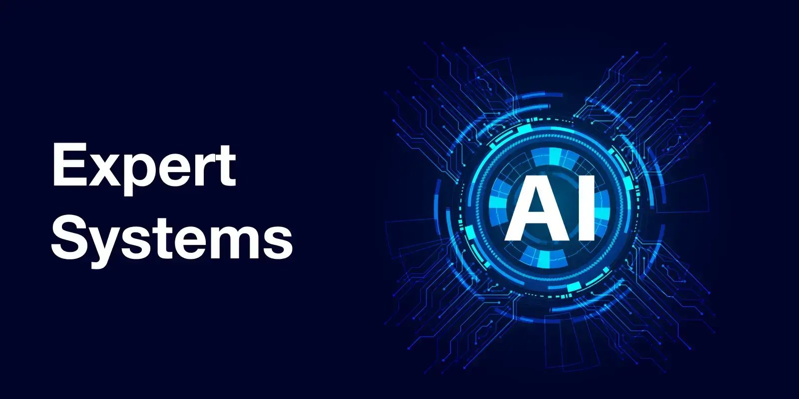 Expert-systems