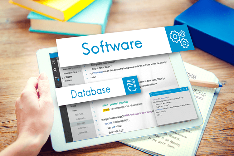 Strategies That Make Your Software Project A Success