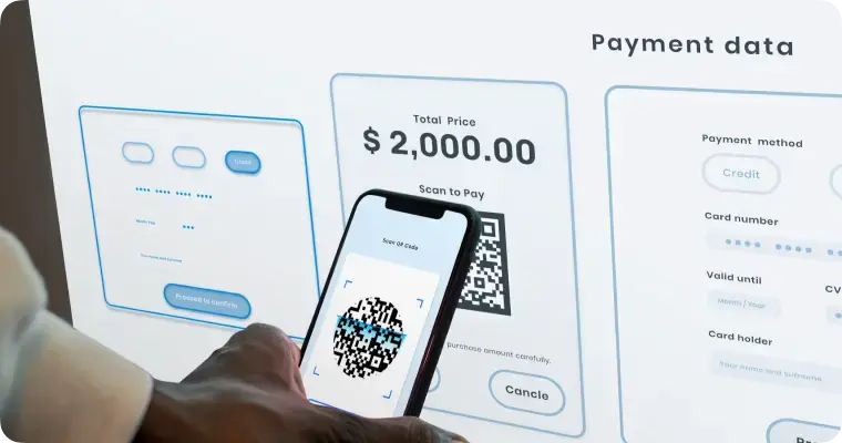 Payment Software Services